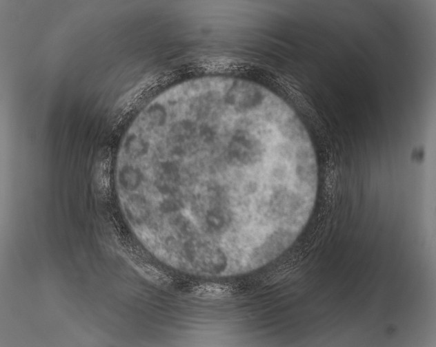 X0000115070691200912081148