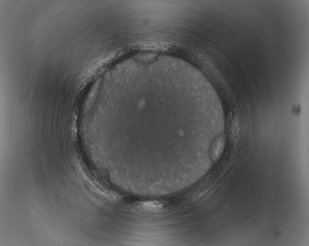 X0000115070692200912081148