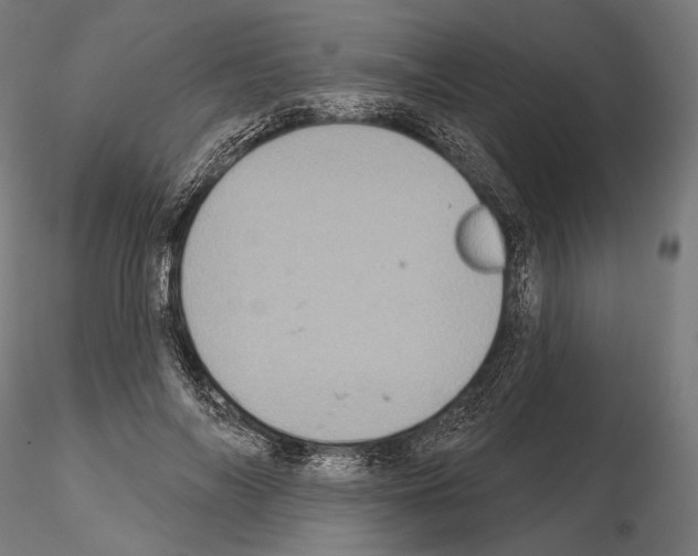 X0000115070694200912081148