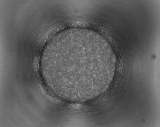 X0000115070695200912081148