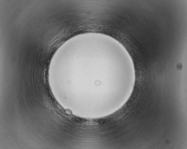 X0000115070696200912081148
