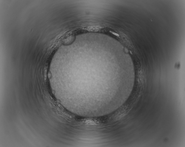 X0000115070697200912081148