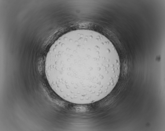 X0000115070698200912081148