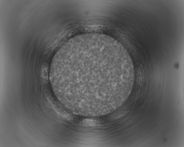 X0000115070699200912081148
