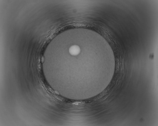 X0000115070700200912081148