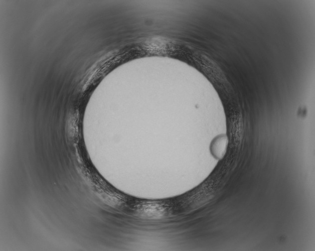 X0000115070702200912081148