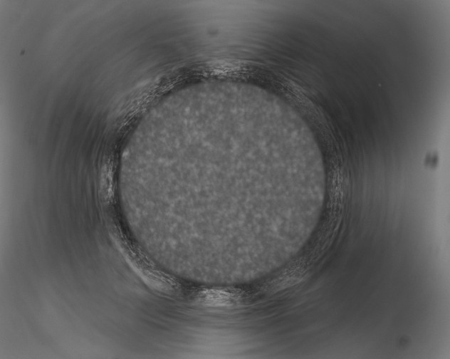 X0000115070703200912081148