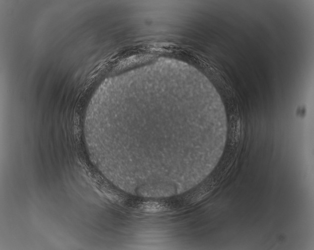 X0000115070704200912081148
