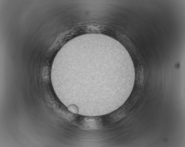X0000115070706200912081148