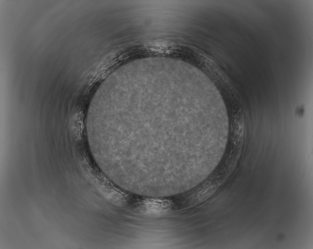 X0000115070707200912081148