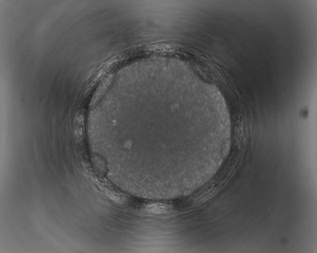 X0000115070708200912081148