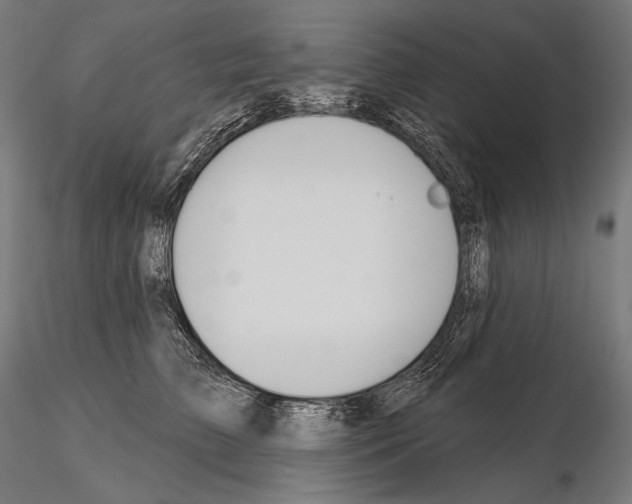 X0000115070709200912081148