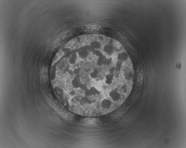 X0000115070711200912081148