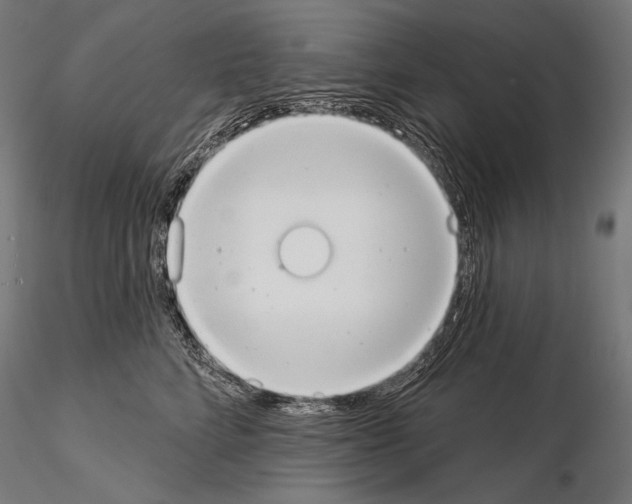 X0000115070712200912081148