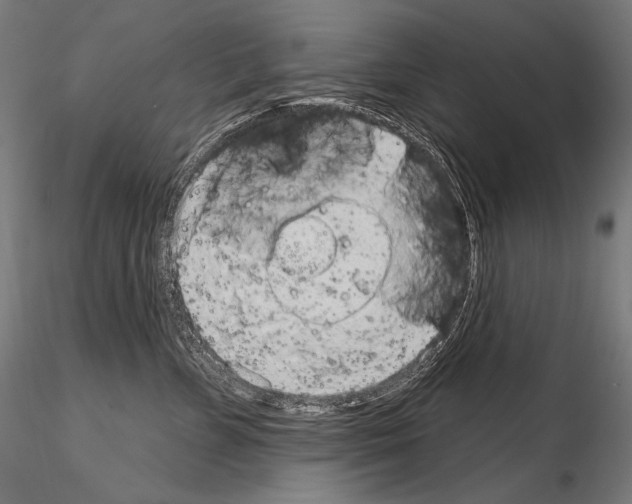 X0000115070715200912081148