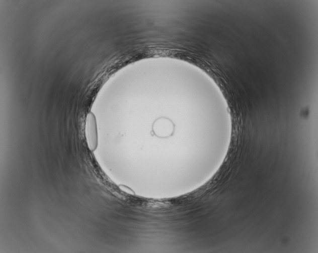 X0000115070716200912081148