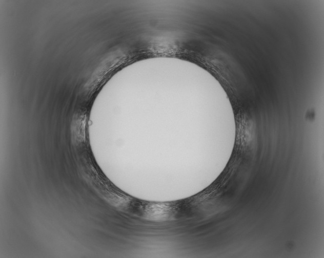 X0000115070717200912081148