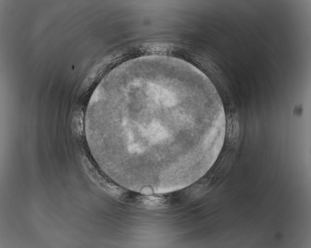 X0000115070718200912081148