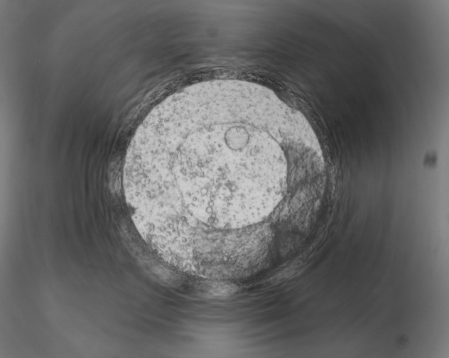 X0000115070719200912081148