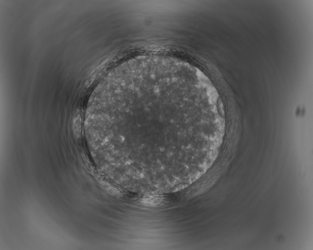 X0000115070720200912081148