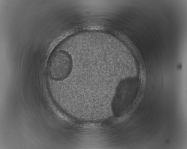 X0000115070721200912081147