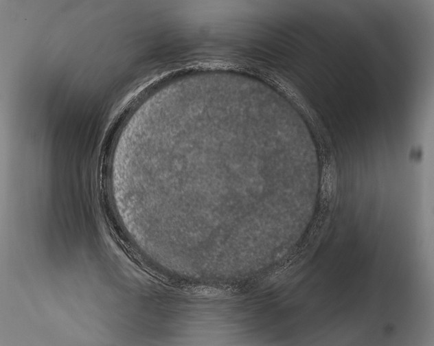 X0000115070722200912081147