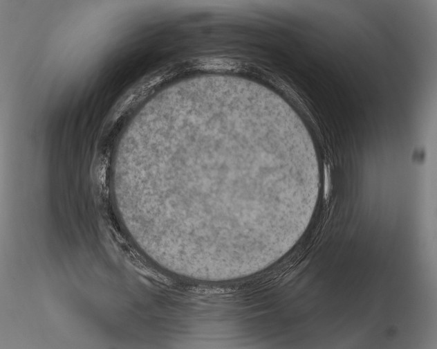 X0000115070723200912081147