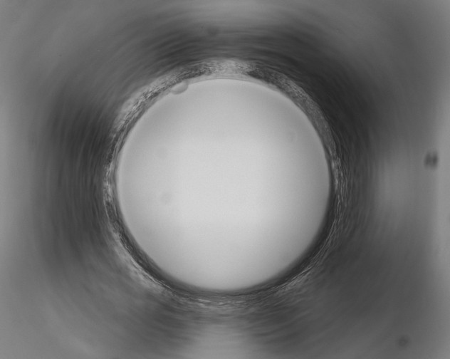 X0000115070725200912081147