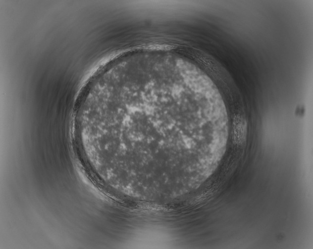 X0000115070726200912081147