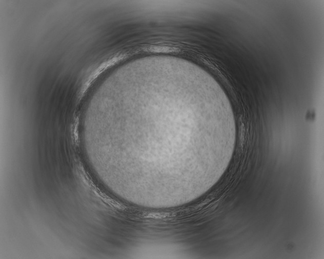 X0000115070727200912081147