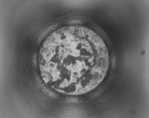 X0000115070729200912081147