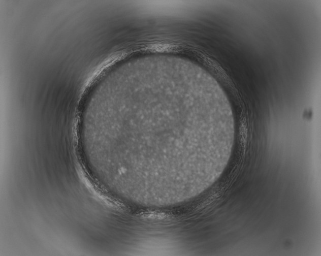 X0000115070730200912081147