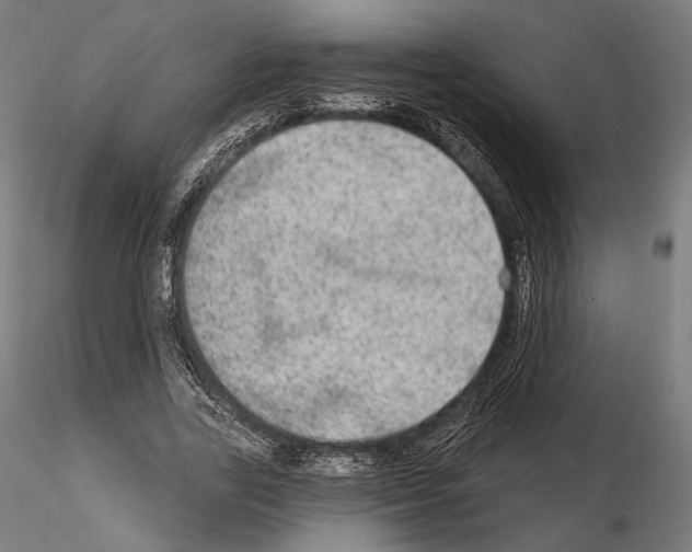 X0000115070731200912081147