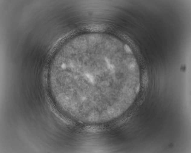 X0000115070733200912081147