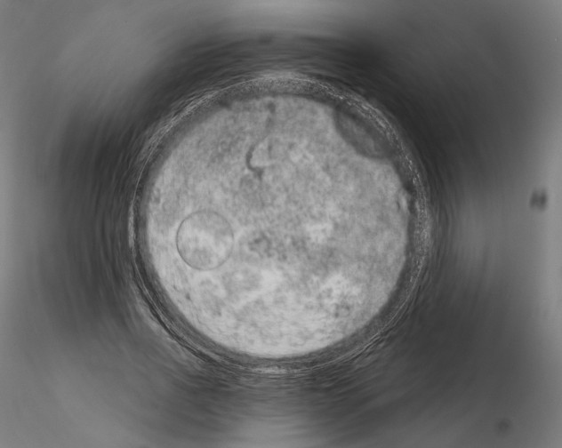X0000115070734200912081147