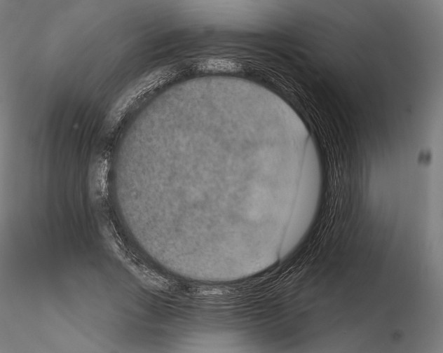 X0000115070735200912081147