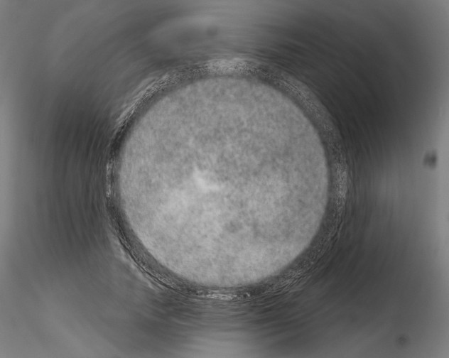 X0000115070738200912081147