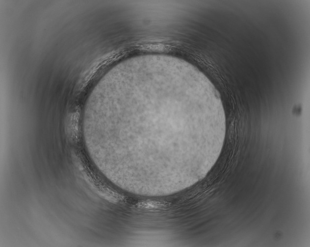 X0000115070739200912081147