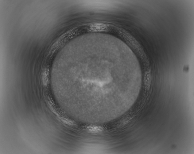 X0000115070741200912081147