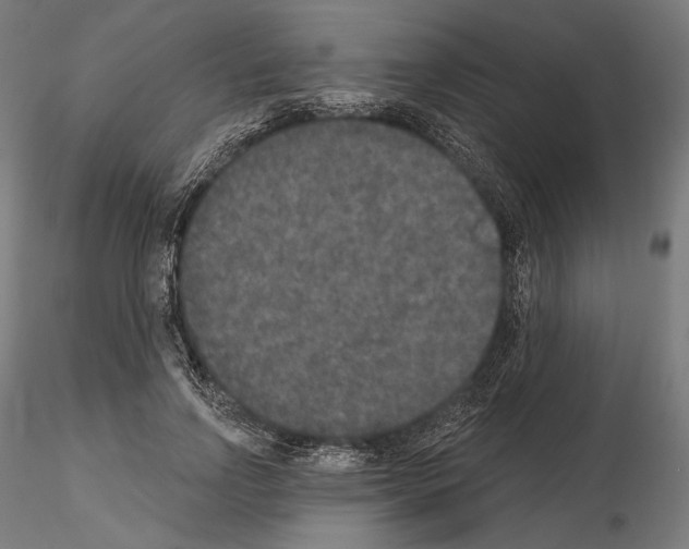 X0000115070742200912081147