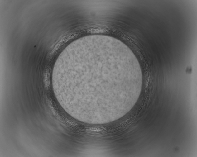 X0000115070743200912081147