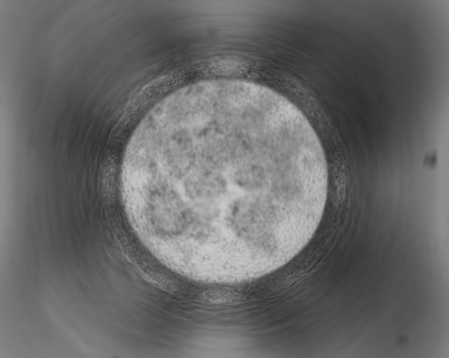 X0000115070745200912081147