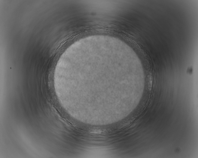 X0000115070746200912081147