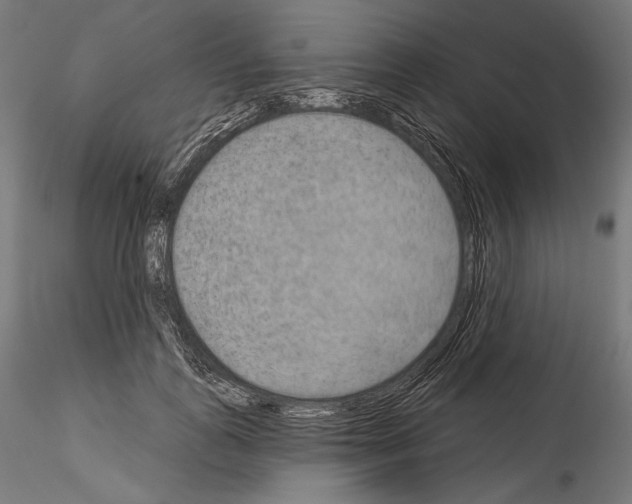 X0000115070747200912081147