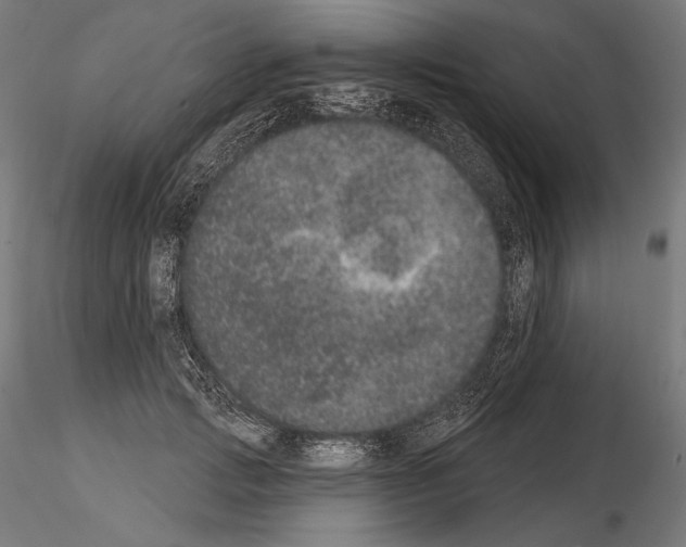 X0000115070749200912081147