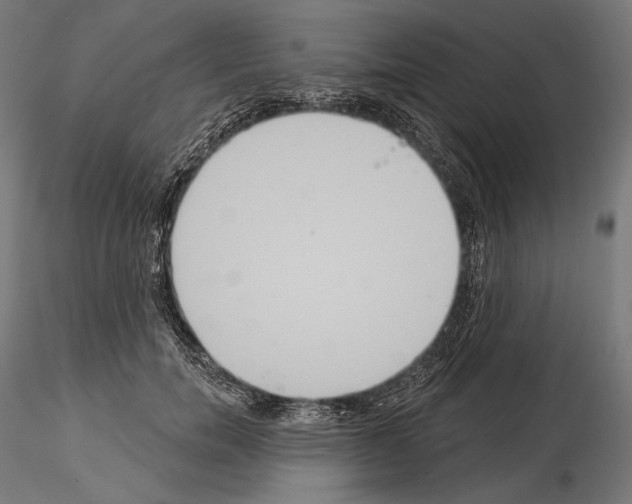 X0000115070750200912081147