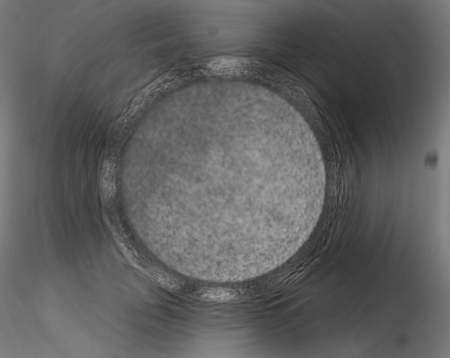 X0000115070751200912081147
