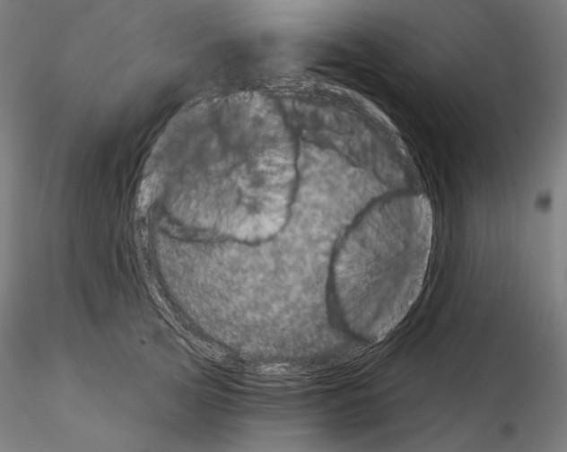 X0000115070753200912081147