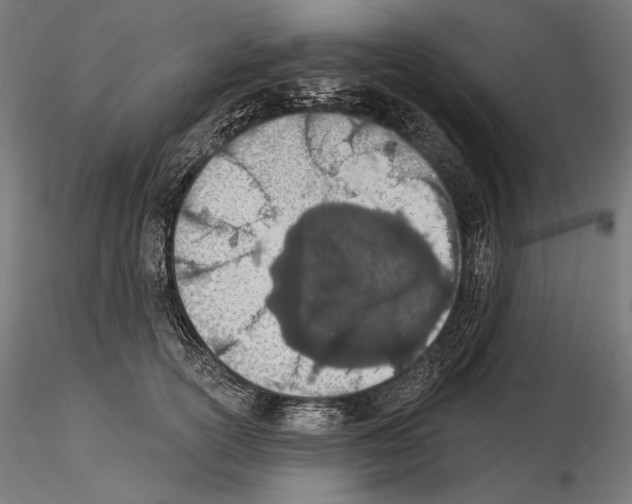 X0000115070754200912081147