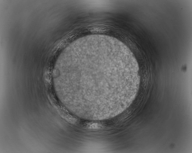 X0000115070755200912081147
